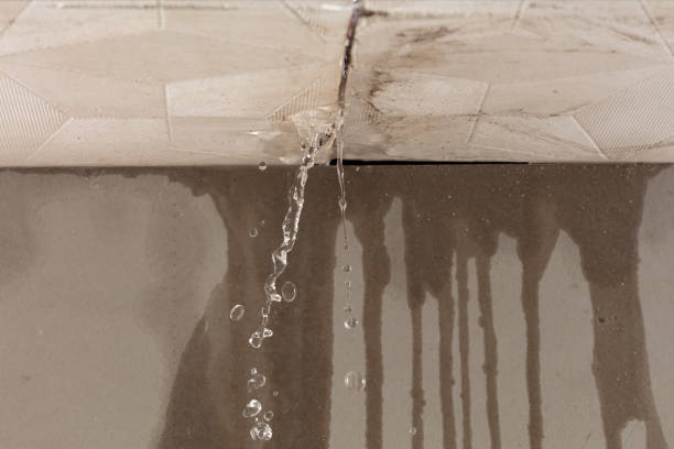 Professional Water Damage Repair technician working in Quinton, AL